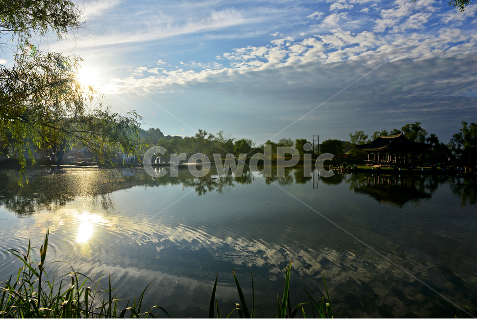 충남,부여,궁남지,반영,water,물,outdoors,옥외,nature,자연,하늘,구름