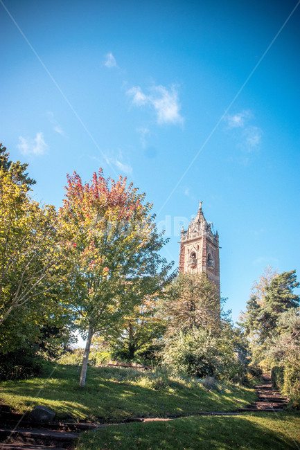 architecture,건축물,tower,탑,건물,뾰족한탑,식물,tree,나무,영국,브리스톨,캐봇타워,england,bristol,cabottower