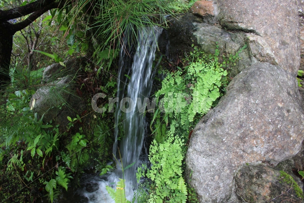 폭포,물,낙차,자연,경관,돌,잎,식물,나무,야외,식물,자연,plants,nature