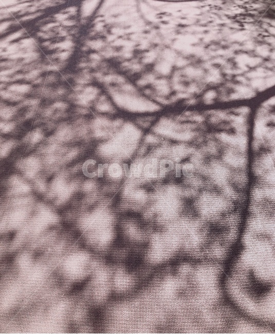 벚꽃,봄,추억,벚꽃그림자,봄그림자