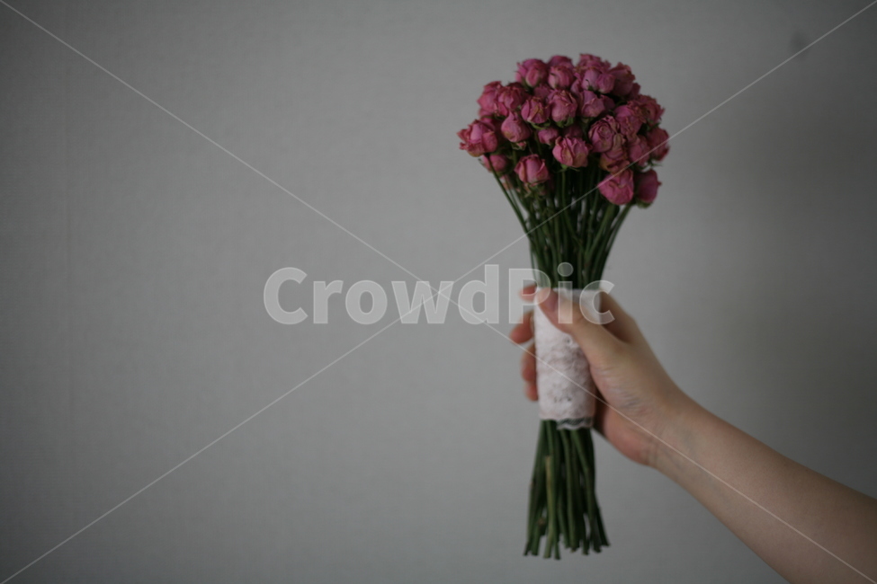 꽃다발,부케,꽃,flower,blossom,plant,식물,꽃,flower,기념일,축하,anniversary,congratulation,celebrate,celebration