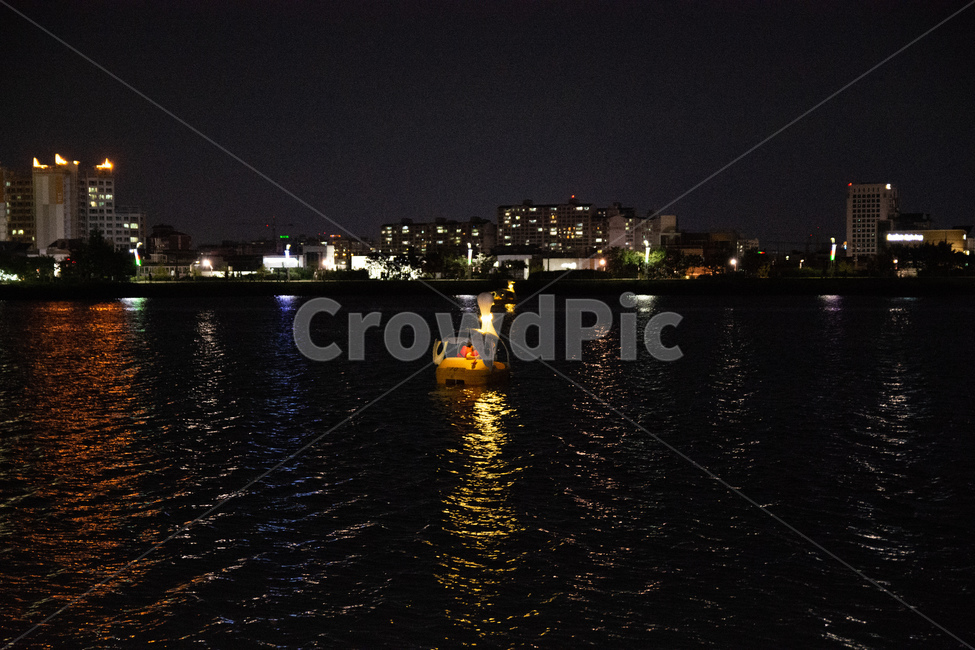 오리배,야경,수성못,대구,밤,야경,밤,풍경,nightscape,night,landscape,도시,city,outdoors,옥외,nature,자연,water,물