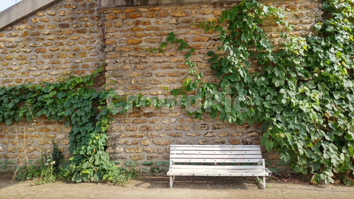 벽,배경,담쟁이,background,벤치,벽돌,차분한,고요한,평화로운,wall,brick,벽돌배경,건축물,건물외관,exterior,building,structure,architecture,construction