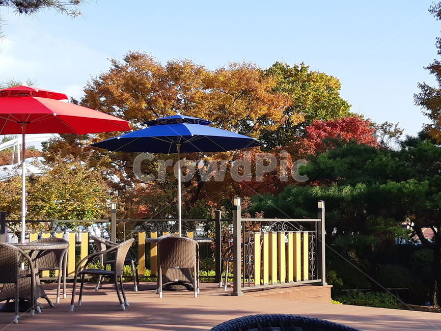 풍경,자연,파라솔,단풍,따스함,가을,계절,fall,autumn,season,gate,문
