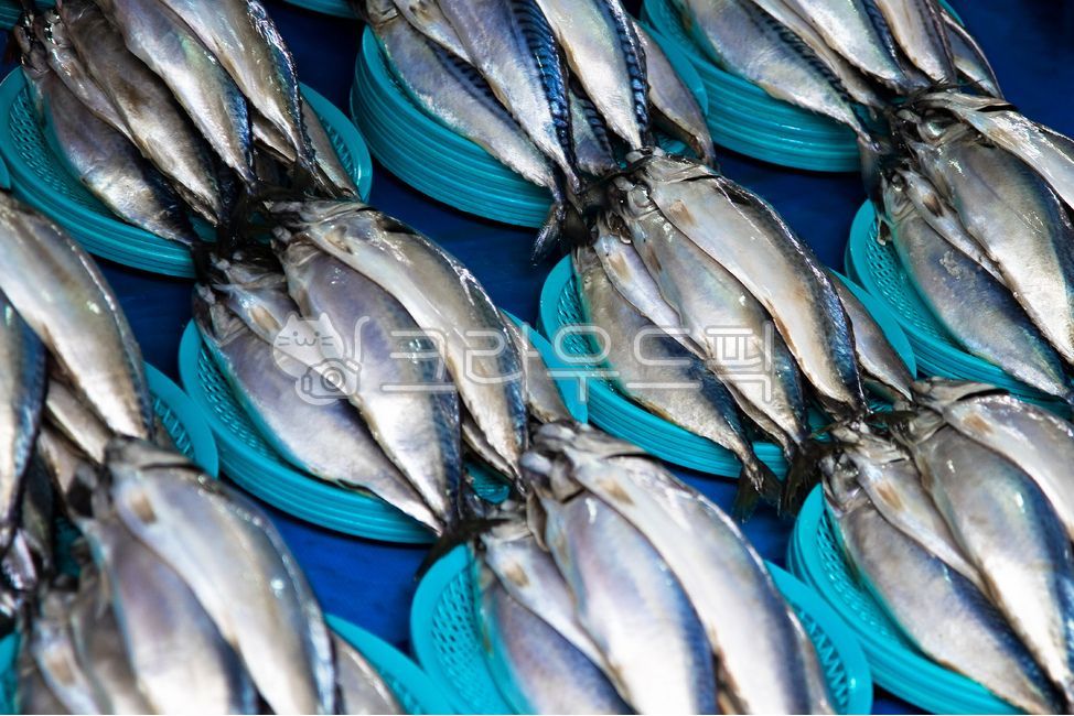 seafood,Fish pancake,fish shop,fish market,food,mackerel,side dish,market,seat,fish,Food Ingredients,ingredients,purple mackerel