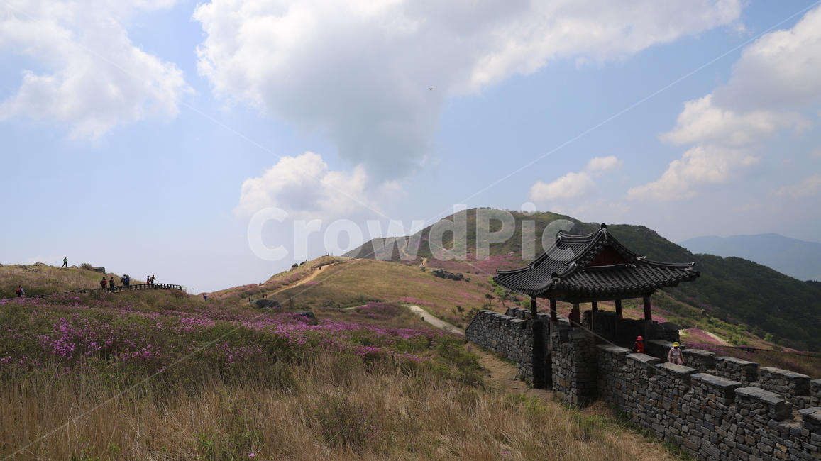 황매산,철쭉,5월,황매산철쭉,합천,구름,하늘,파란하늘,철쭉꽃,축제,황매산철쭉제,황매산성,분홍꽃,산,계절,봄,풍경,자연,풍경,nature,landscape,outdoors,옥외