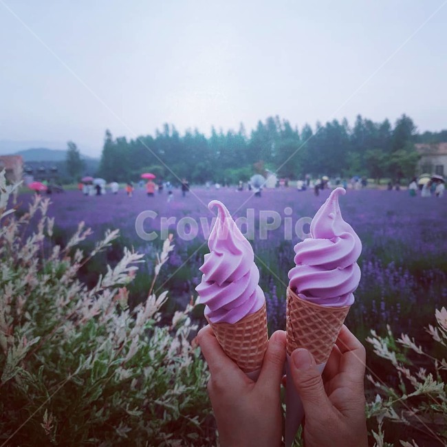 디저트,아이스크림,dessert,라벤더,lavander