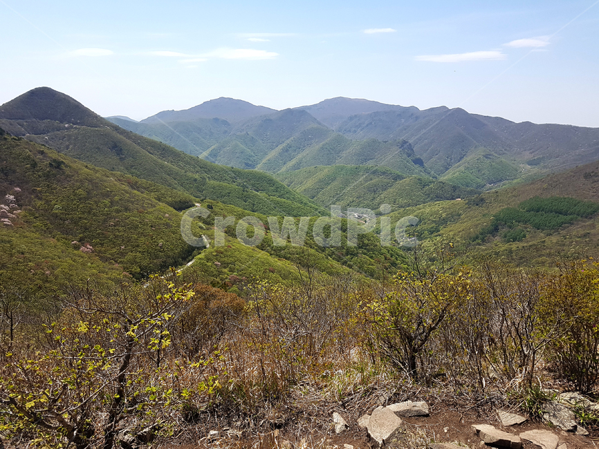 nature,자연,outdoors,옥외,산,언덕,낙엽,나무,풀,숲