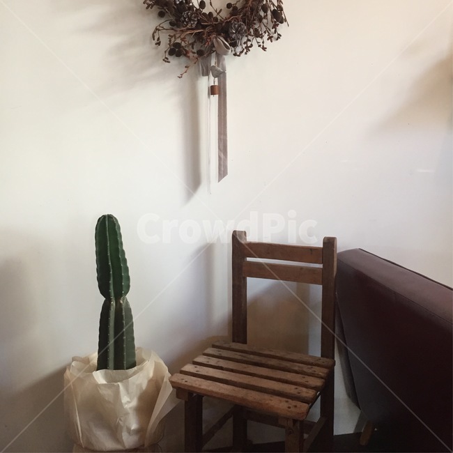 감성,카페,인테리어,선인장,wood