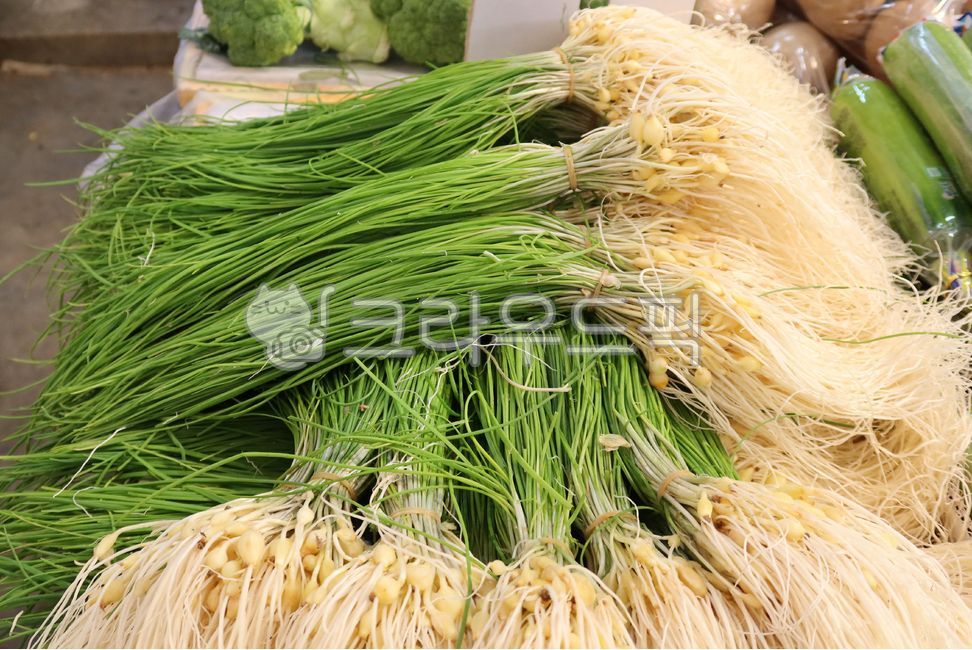 foodingredients,vegetable,vegetables,spring greens,herbs,spring,leaves,plants,Wellbeing food,root,Food Ingredients,vegetarian,rootplants,Herbs,root plant,springgreens,green,naturalfoods,vegetarian diet,roots,Soothe,leaf,food,rootvegetables,Herb,root veget