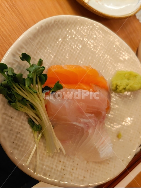 초밥,회,연어,사시미,음식,저녁,식사,점심,음식,식재료,요리,food,cook,meal,dishes,food reserves