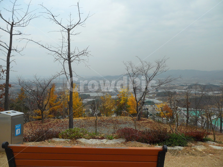 산중턱,벤치,자연,나무,하늘,가을,계절,fall,autumn,season,자연,풍경,nature,landscape