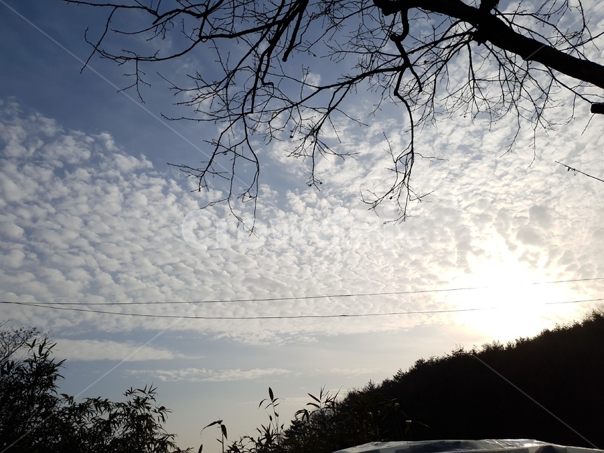 풍경,하늘,나무,햇빛,구름,자연,풍경,nature,landscape,outdoors,옥외