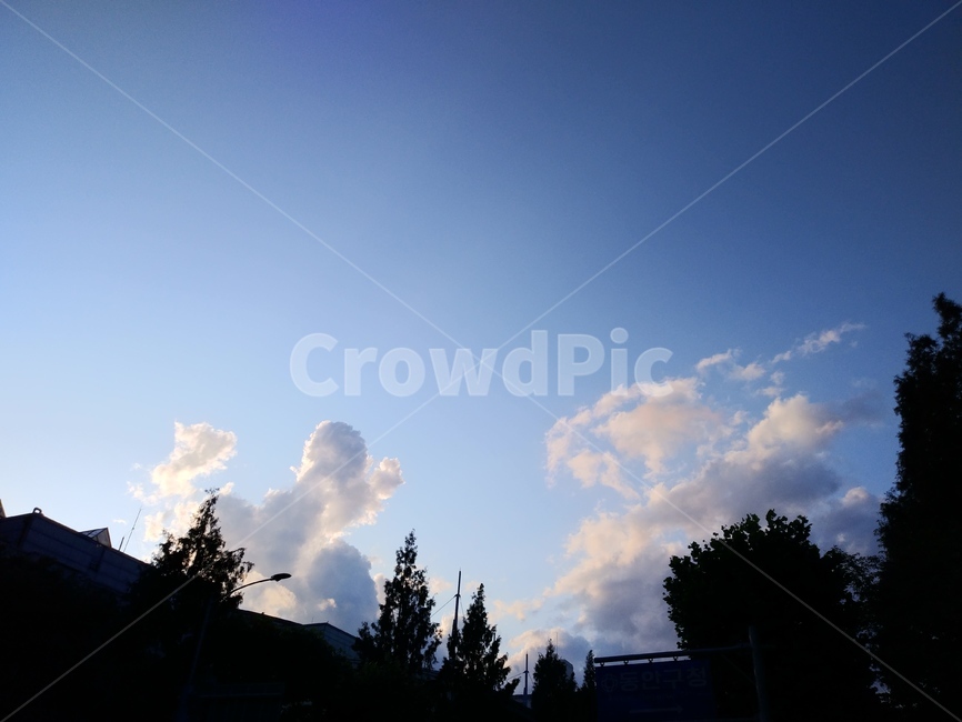 감성,하늘,sky,나무,어두운,짙은,자연,풍경,nature,landscape