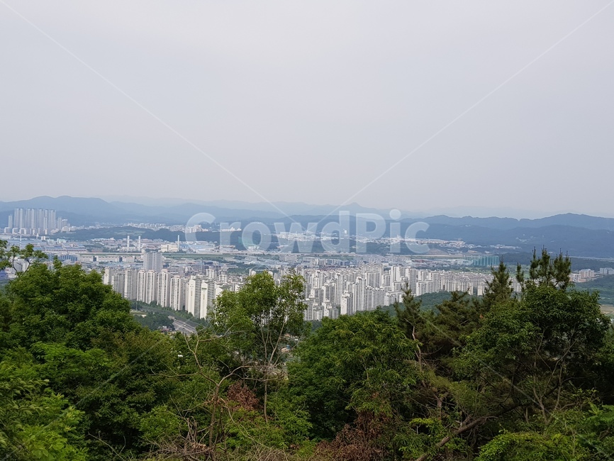 산,자연,나무,건물,하늘
