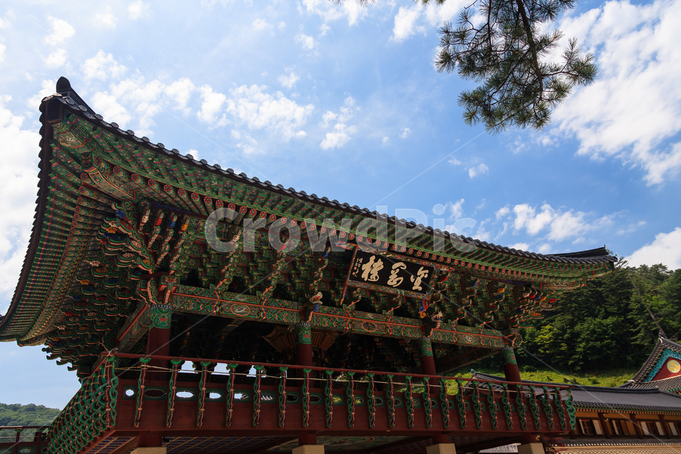 월정사,불교,절,오대산,종교,하늘,한국전통,한국문화,korean traditional,korean culture,종교,신앙,religion,belief,faith,건축물,건물외관,exterior,building,structure,architecture,construction