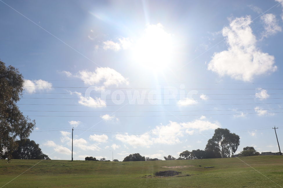 grass,잔디,plant,식물,field,들,outdoors,옥외,나무,공원,구름,하늘,태양,자연,풍경,nature,landscape,나무,trees,wood