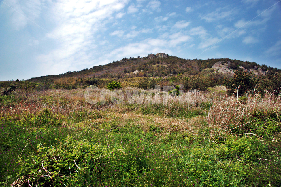 추자도,하추자도,올레181코스,올레코스,제주,푸른하늘,자연,자연,풍경,nature,landscape,제주도,jeju,jeju island,outdoors,옥외,grassland,목초지,field,들