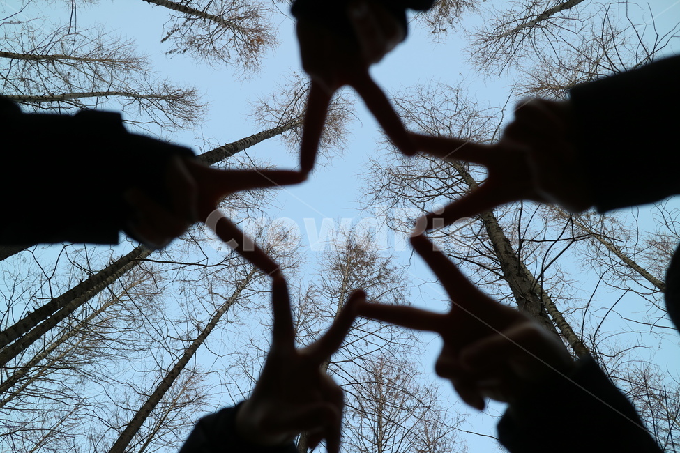 하늘,숲,나무,나무숲,숲길,메타세콰이어,맑은하늘,친구,우정,friendship,companion