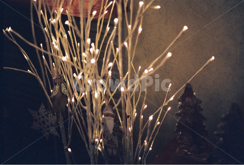 인테리어,조명,카페,필름사진,감성사진,감성,sensible,feeling,인테리어,실내디자인,interior design