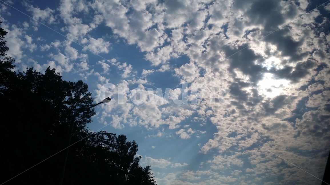 구름,햇빛,안개구름,풍경,나무,고화질,초고화질,자연,풍경,nature,landscape,outdoors,옥외,sky,하늘,cloud,azure sky,푸른 하늘,cumulus,적운,weather,날씨