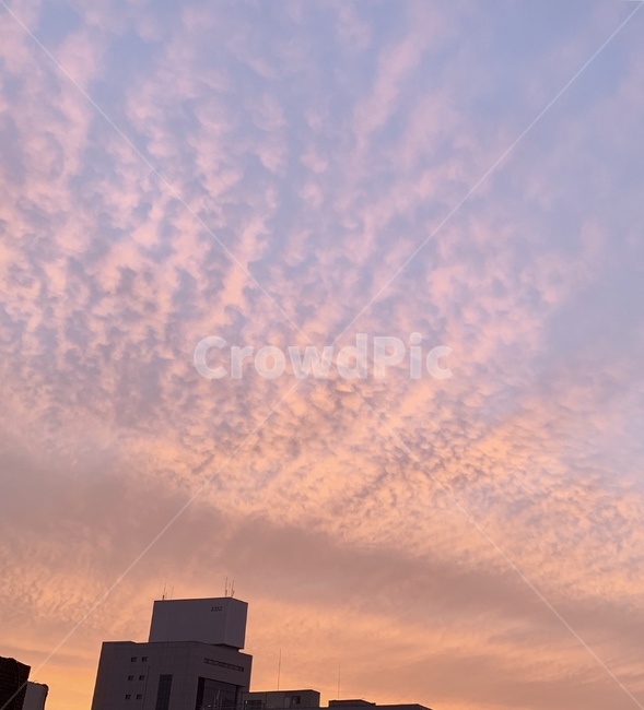 하늘,하늘배경,핑크하늘,sky,구름,저녁하늘