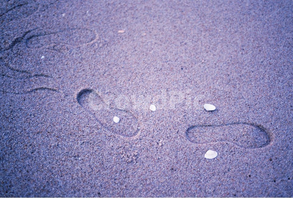 바다,해변,백사장,발자국,조개,감성사진,필름사진,해변,바다,beach,sea,감성,sensible,feeling