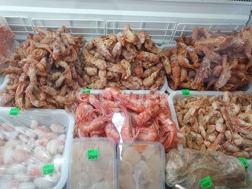 씨푸드,seafood,시장,마켓,market,새우,곰새우,수산물