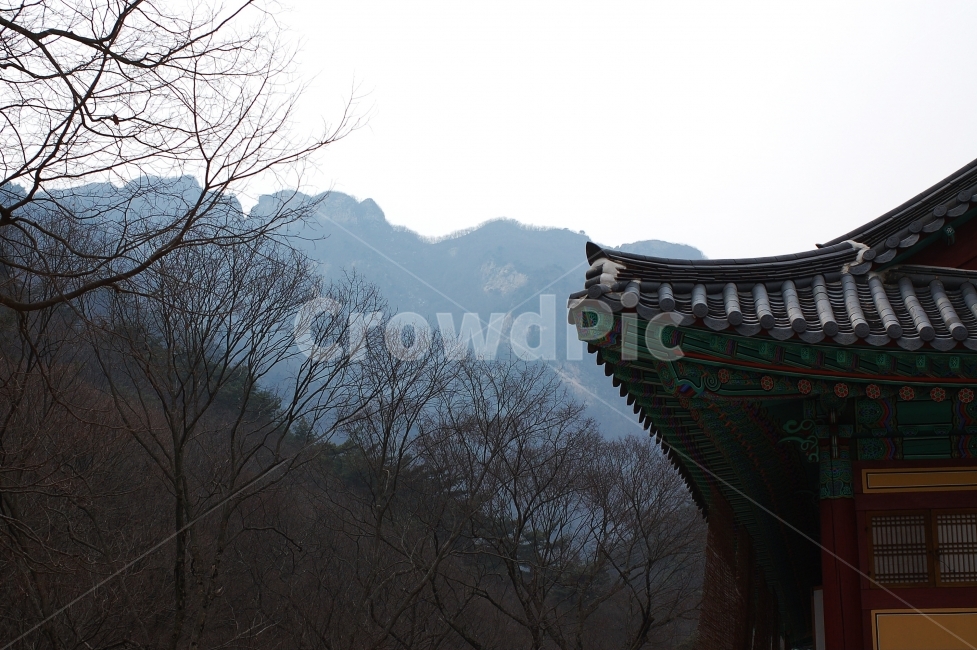 계룡산,동학사,사찰,절,풍경,한국전통,한국문화,korean traditional,korean culture,건축물,건물외관,exterior,building,structure,architecture,construction