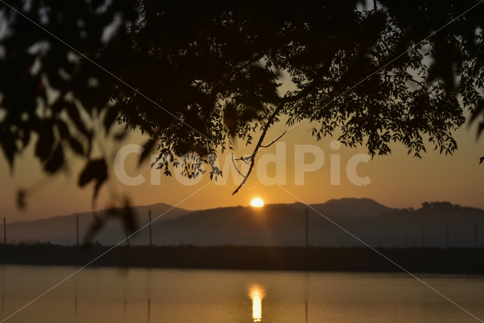 무안,목포,바다,일출,아침,자연,풍경,nature,landscape,outdoors,옥외,light,빛,flare,플레어