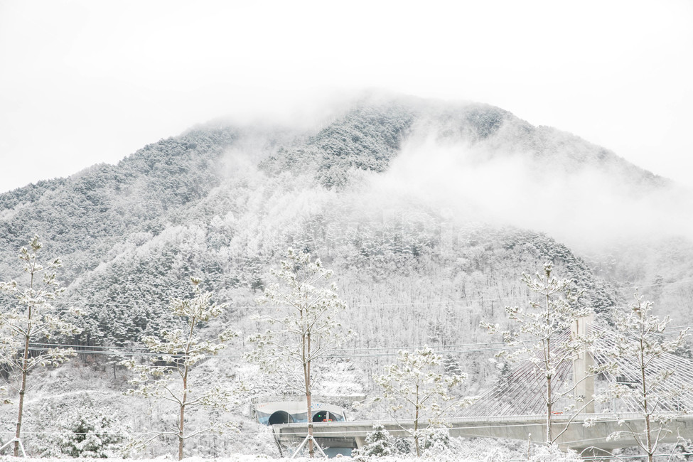겨울,나무,겨울나무,눈,흰눈,겨울,계절,winter,season,자연,풍경,nature,landscape,outdoors,옥외