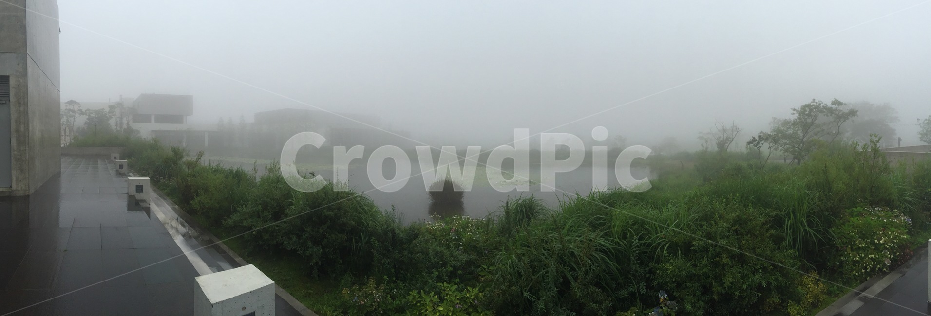 연못,비오는날,흐린날,물가,비오는연못,자연,풍경,nature,landscape,weather,날씨,outdoors,옥외