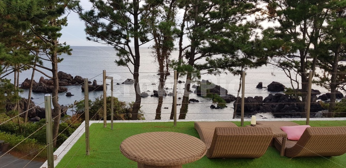 제주,바다,휴식,카페,힐링,자연,풍경,nature,landscape,grass,잔디,plant,식물,tree,나무