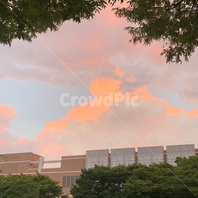 nature,자연,outdoors,옥외,해질녘,붉은하늘,하늘,구름,적운,sky,자연,풍경,nature,landscape