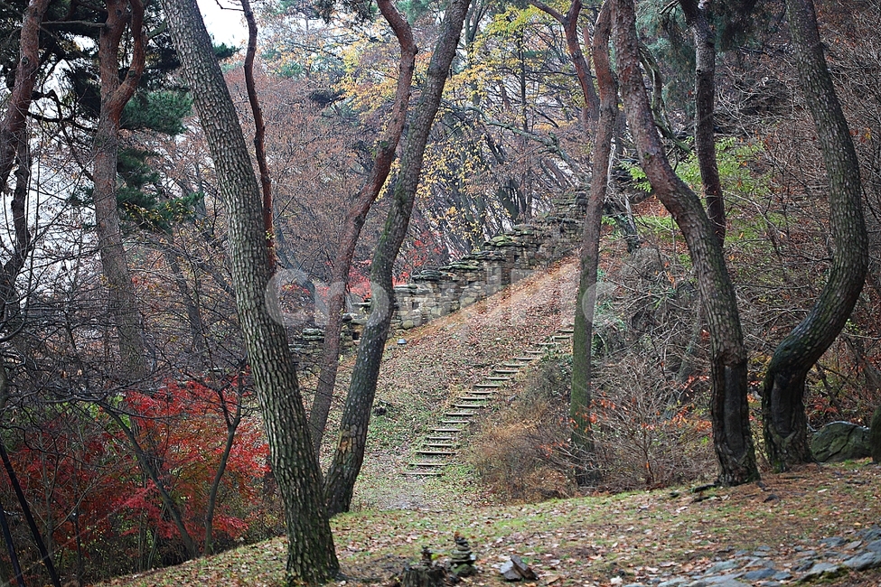 전등사,산성,성,성곽,길,둘레길,숲,숲길,담,돌담,가을,자연,풍경,식물,벽,방어벽,낙엽,단풍,가을,계절,fall,autumn,season,자연,풍경,nature,landscape