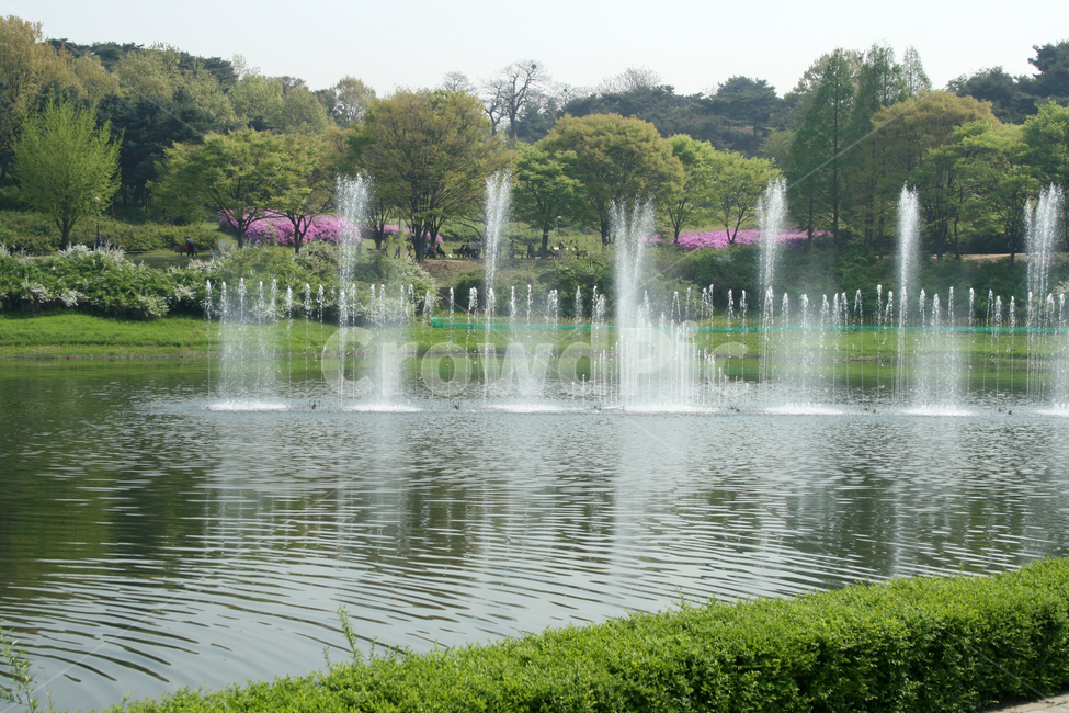 호수,분수,봄,봄날,감성,spring,공원,풍경,봄,계절,spring,season,자연,풍경,nature,landscape,water,물,fountain