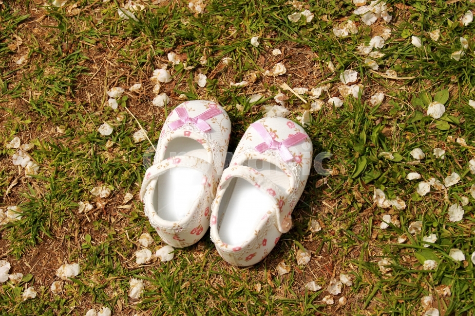 아기신발,아기,신발,여자아기,꽃,출산,아기용품,준비물,벚꽃,봄,감성,스냅,임신,행복,축하,애기,영유아,아기,애기,아이,infants,baby,패션스타일,의상,fashion,style,사물,물건,오브젝트,thing,object,matter