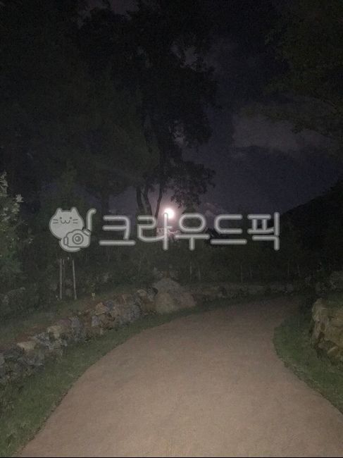 nature,자연,outdoors,옥외,light,빛,달,나무