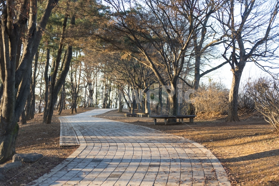 강화도,island,덕진진,길,road,tree,horizon,겨울,계절,winter,season,자연,풍경,nature,landscape,path,통로,walkway,보도,bench,벤치,sidewalk,pavement,포장