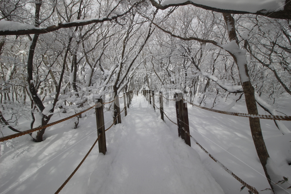한라산,성판악코스,눈꽃,눈산행,HallasanMountain,겨울,계절,winter,season,자연,풍경,nature,landscape,outdoors,옥외,storm,폭풍,snow,눈,blizzard,눈보라
