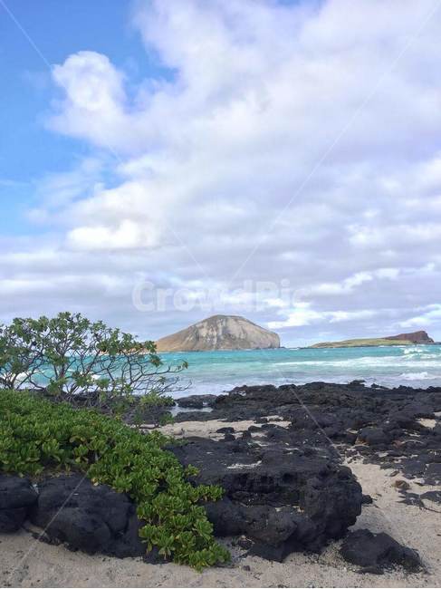 water,물,sea,바다,ocean,대양,nature,자연,laiepoint,land,나라,shoreline,해안선,sky,hawaii,해외,cloud,하와이,coast,연안,외국