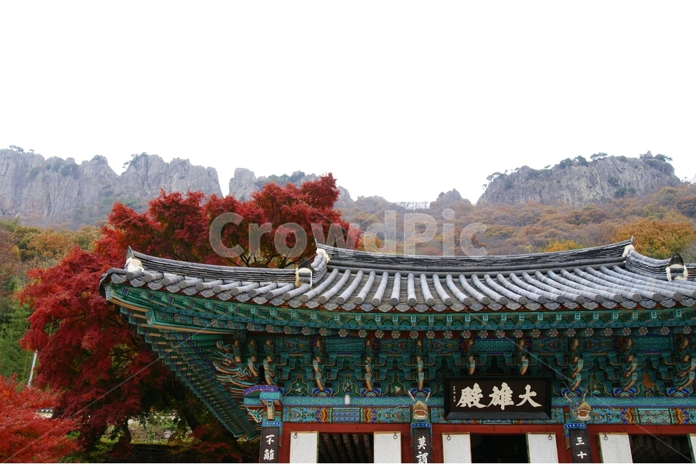 내장산,단풍,가을,붉은,빨간,red,maple,autumn,fall,나들이,단풍구경,산,mountain,한국,전통,한국전통,건축물,traditional,아시아,asia,기와,처마,단청,가을,계절,fall,autumn,season,한국전통,한국문화,korean traditional,korean culture,건축물,건물외관,exterior,building,structure,architecture,construction,건물,pagoda,탑,worship,예배,temple,신전,shrine,신사