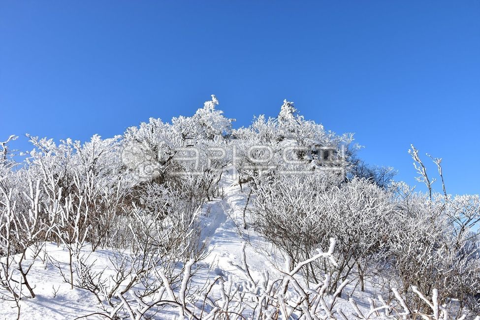 winter,unexplored scenery,Sanggodae,scenery,snow country,national park,healing,mountain,mysterious,season,Korean natural scenery,snow flowers,seasons,Korean landscape,nature,frost flowers,wonderful,emotion,outdoors,background,snow,Gyebangsan Mountain,land