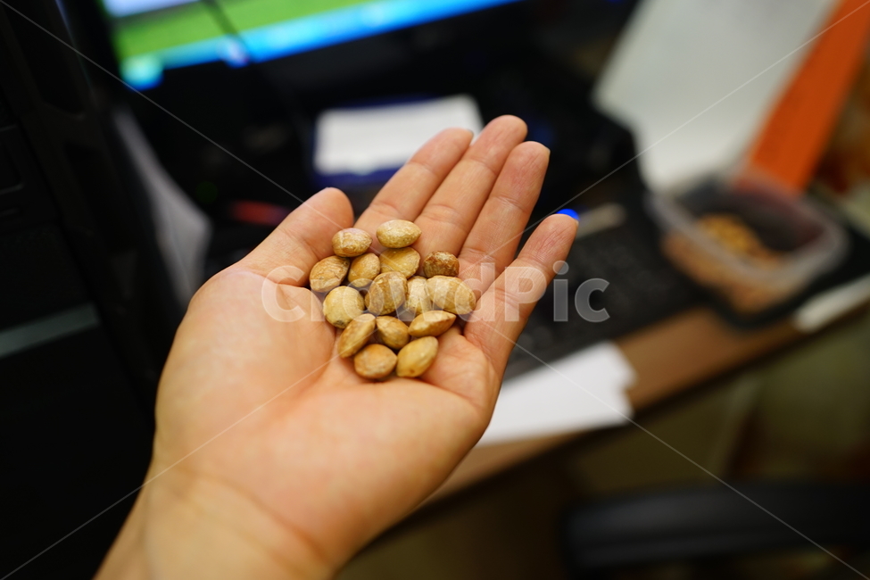 견과류,사차인치,안주거리,안주,먹거리,건강식품,건강,열매,음식,간식,간식거리,맥주안주,주전부리,사람,인물,인간,human,person,신체일부,몸,body,건강,헬스웨어,헬스케어,healthware,health care,음식,식재료,요리,food,cook,meal,dishes,food reserves,콩류,견과류,beans,pulse,nuts,dry fruits