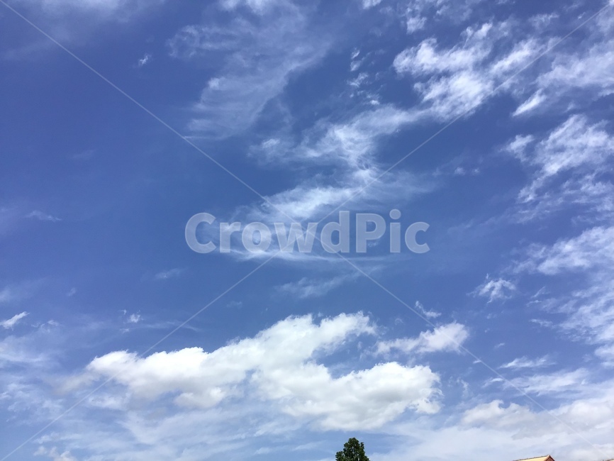하늘,푸르다,낮,구름,cloud,sky,blue