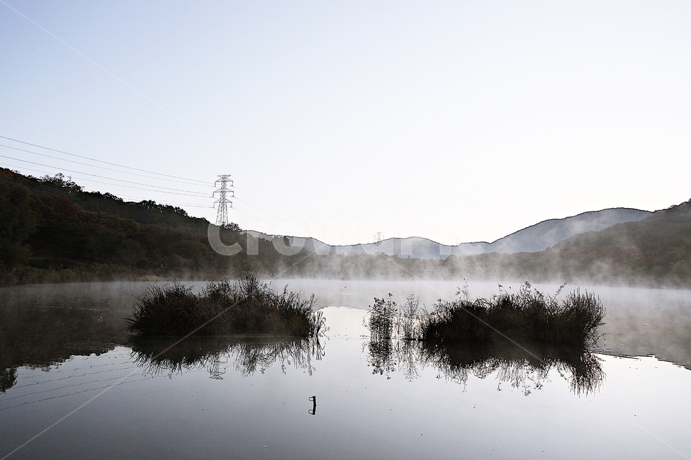 호수,인천대공원,물안개,새벽,아침,풍경,자연,식물,물,자연,풍경,nature,landscape