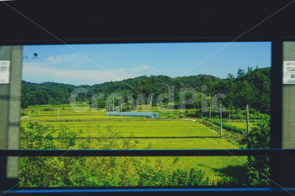 감성사진,풍경사진,여행,휴식,힐링,자연,풍경,nature,landscape,한국자연풍경,한국자연경관,korea nature landscape,시골,마을,country,rural,town,감성,sensible,feeling,field,들,outdoors,옥외,grassland,목초지
