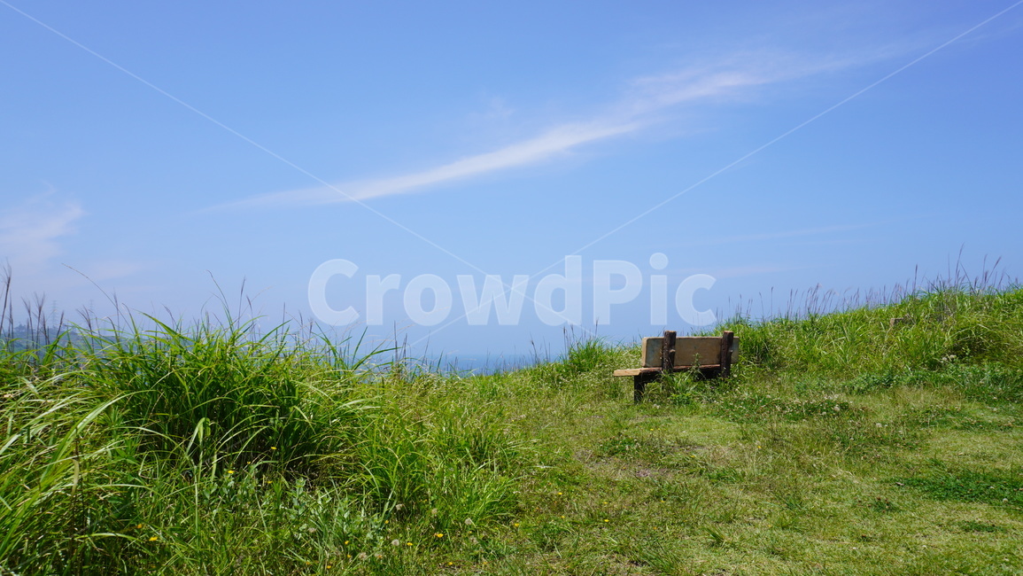nature,자연,들,하늘,의자,벤치,풀,자연,풍경,nature,landscape