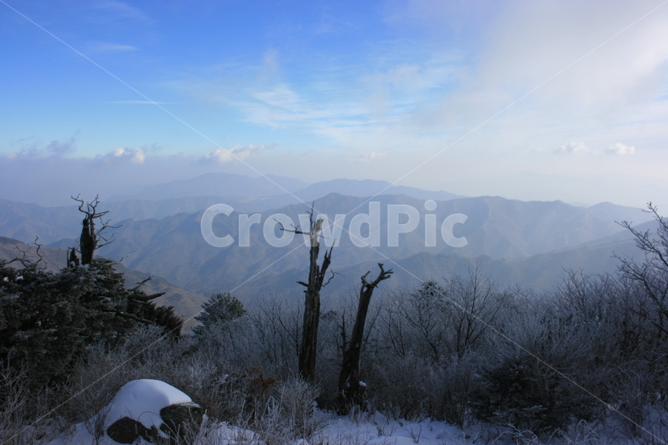 설산,눈꽃,풍경,산정상,등산