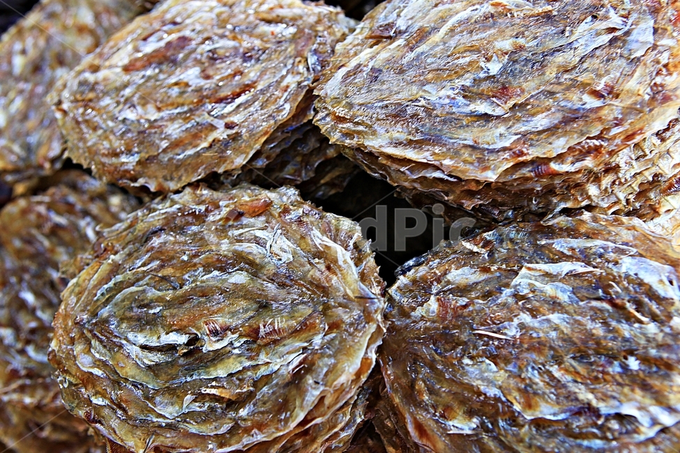 쥐포,쥐치포,쥐고기,생선,길거리음식,음식,음식,식재료,요리,food,cook,meal,dishes,food reserves